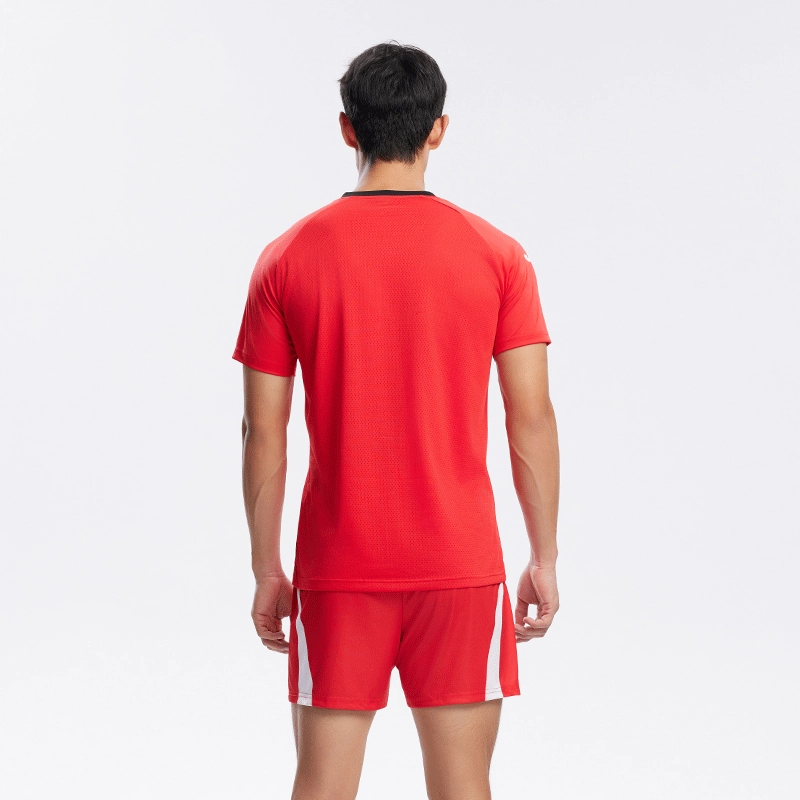 JOMA V