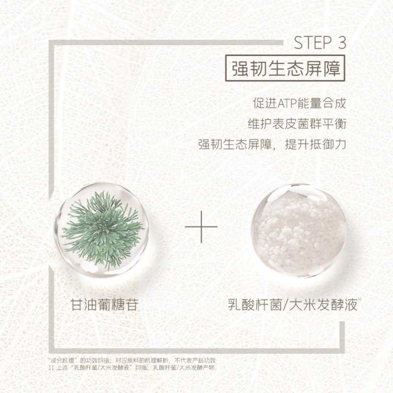 言之有物 油橄榄神经酰胺精华霜+神经酰胺舒润面膜护肤套装 舒缓保湿补水滋润型