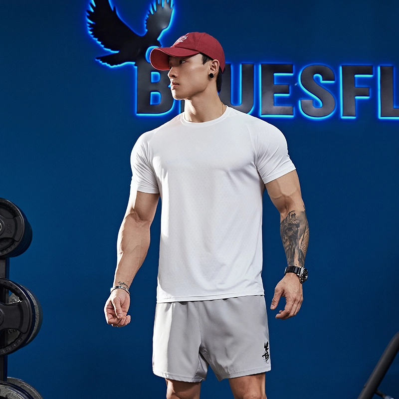 BLUESFLY T