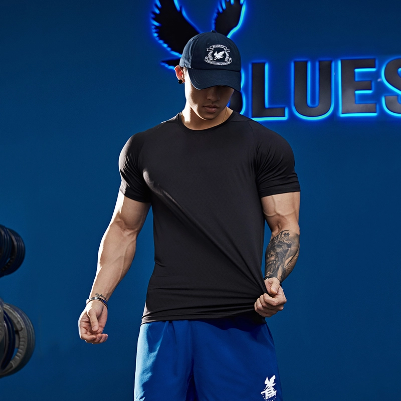 BLUESFLY T