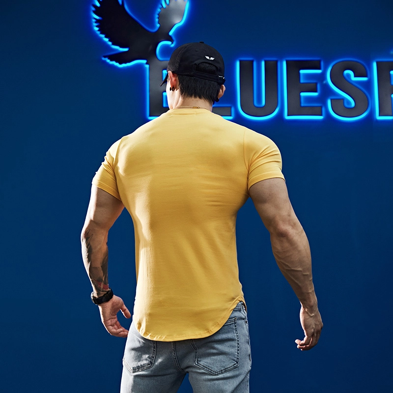 BLUESFLY T