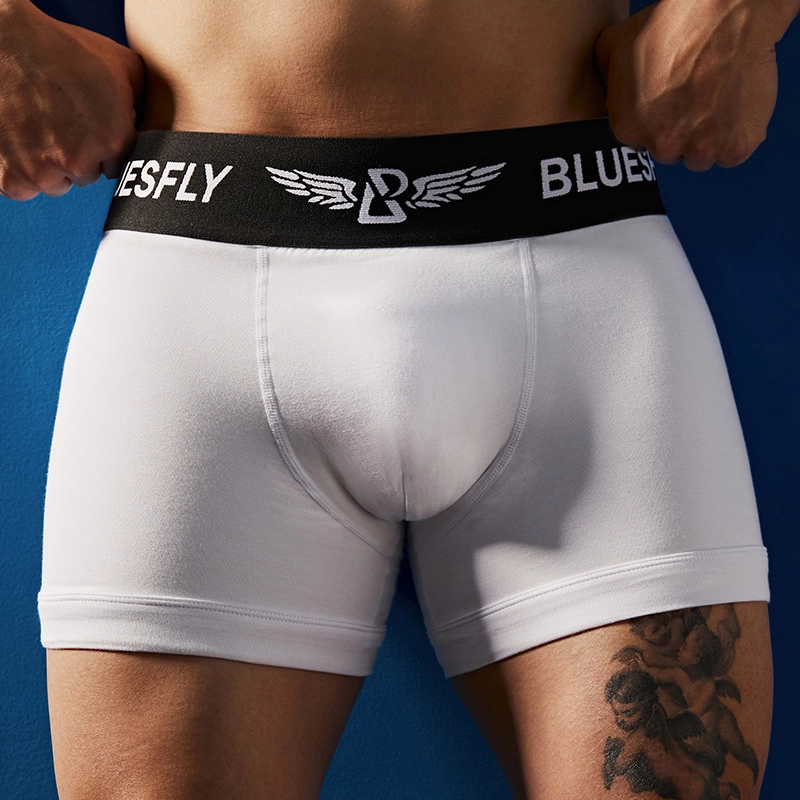 BLUESFLY LOGO