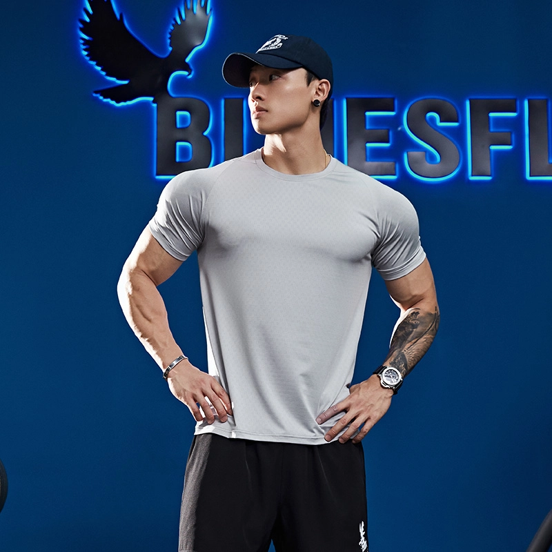 BLUESFLY T