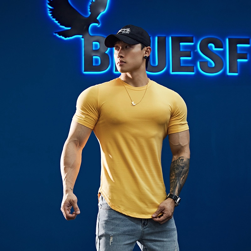 BLUESFLY T