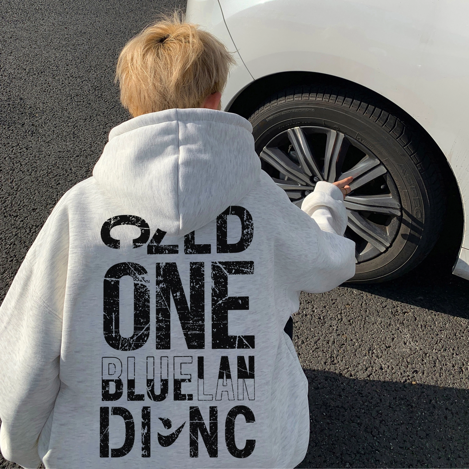 BLUELANDINC
