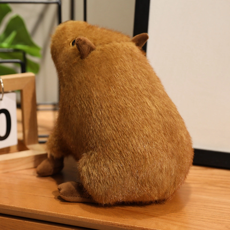 22cm