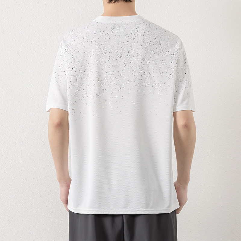 LISENPOK T