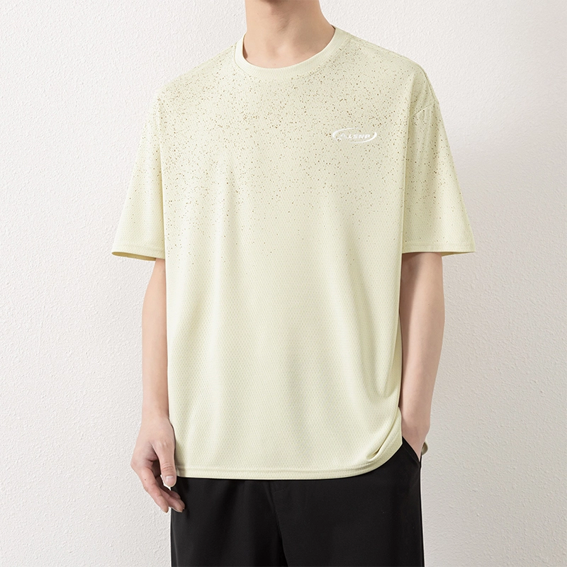 LISENPOK T