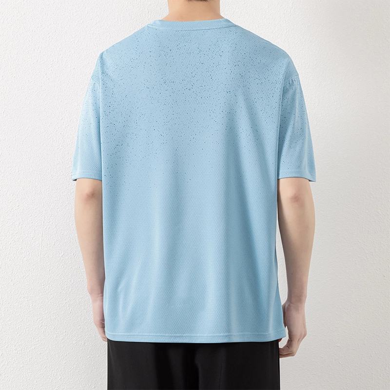 LISENPOK T