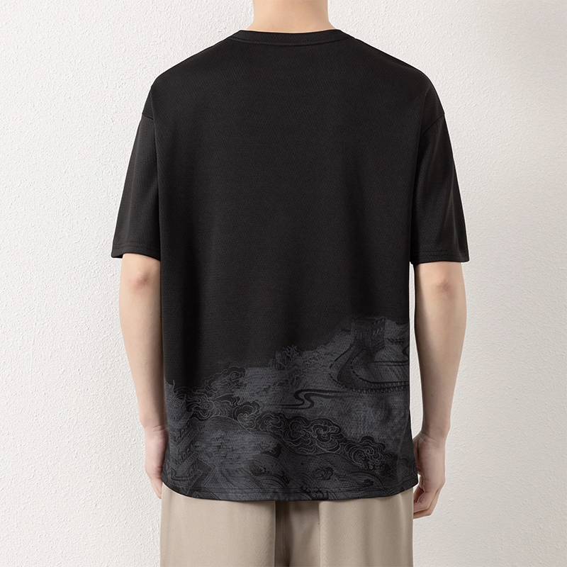 LISENPOK T
