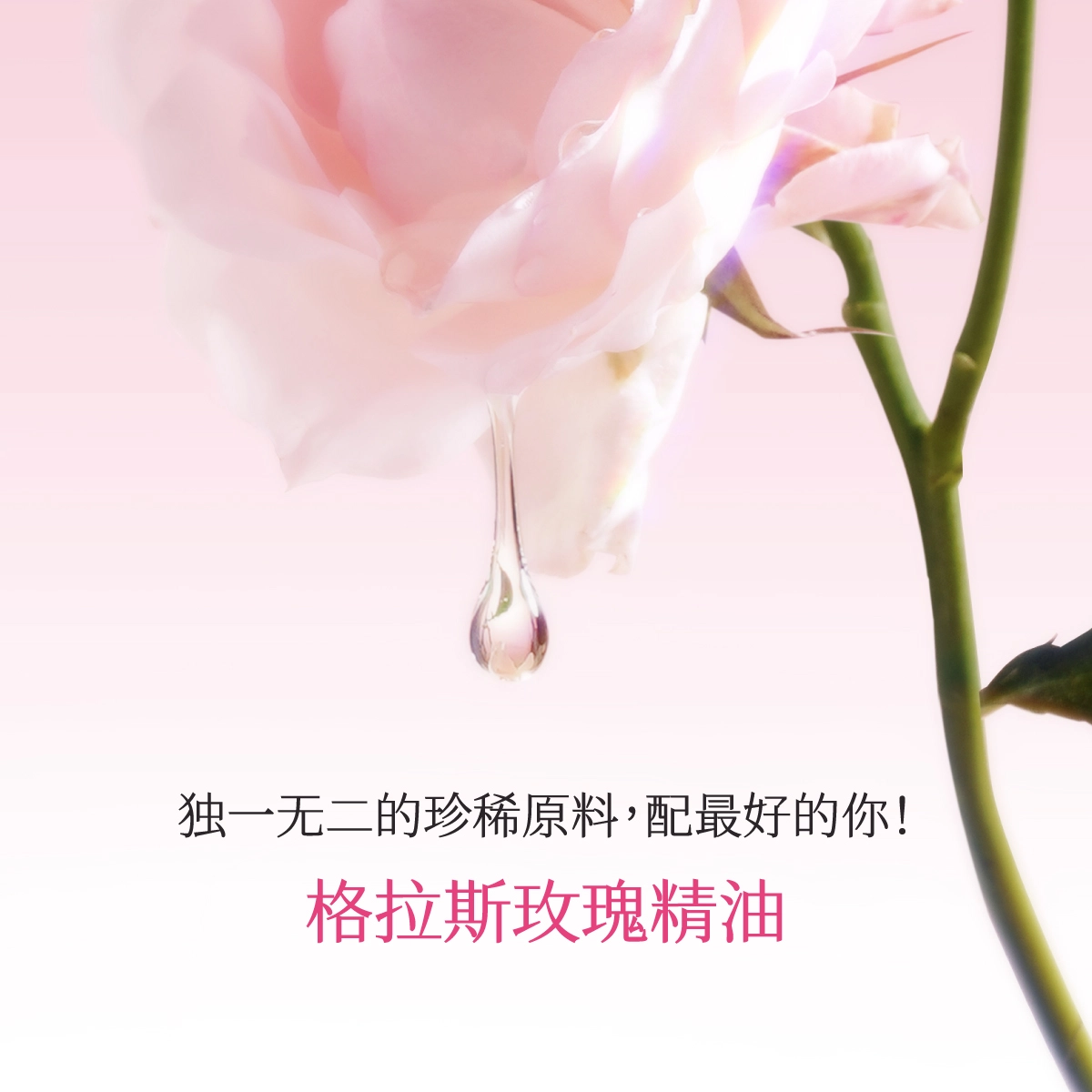 EDT 30ml