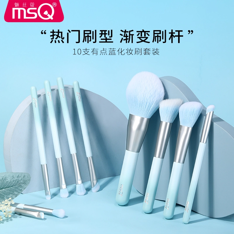 MSQ10