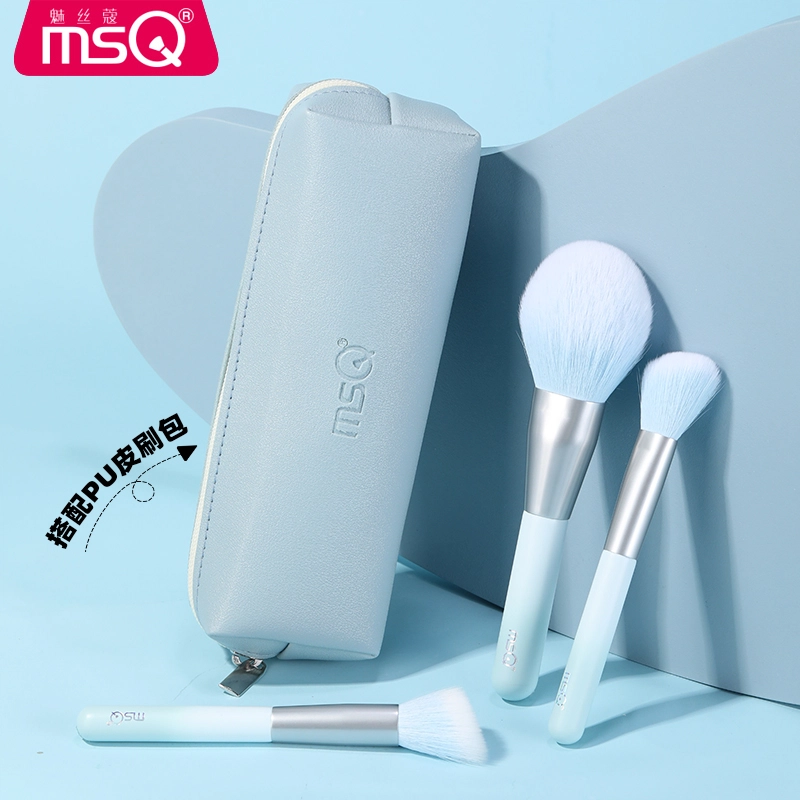 MSQ10
