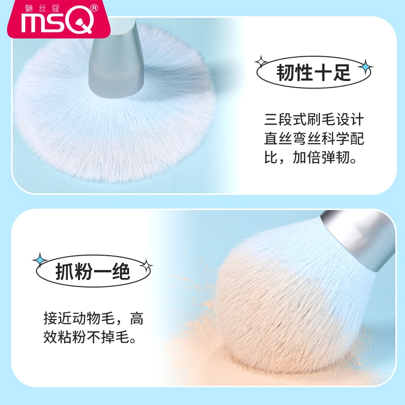 MSQ10