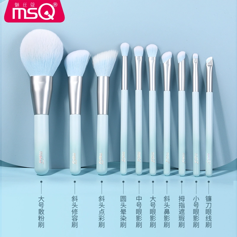 MSQ10