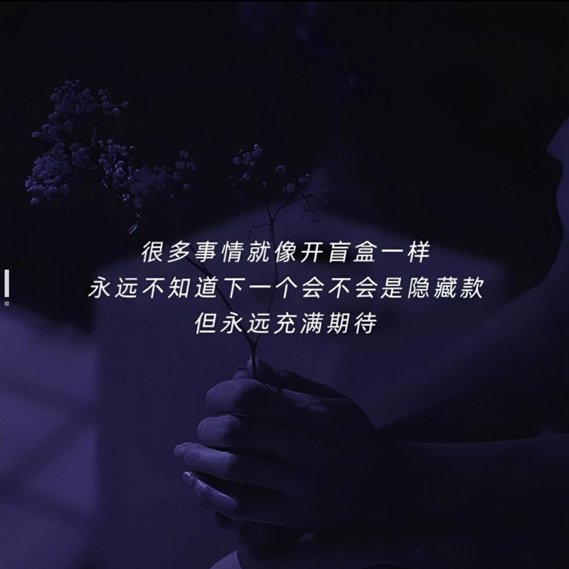 丽洁悠 盲盒开箱彩妆福利小众高级感 易上色自然