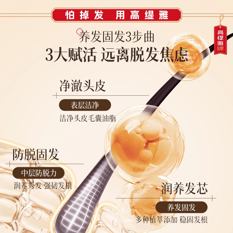 高缇雅生姜防脱固发精华套装 防脱滋养头皮舒缓强韧植物养护