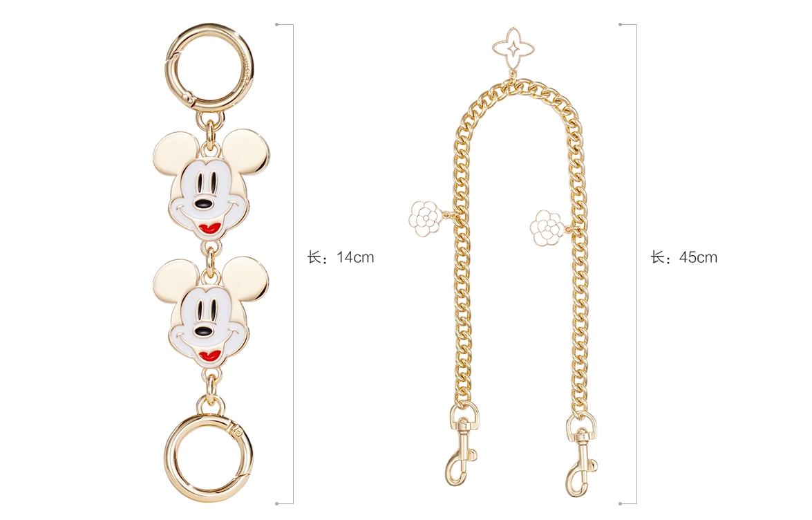 Disney COACH Rowan 22 diy