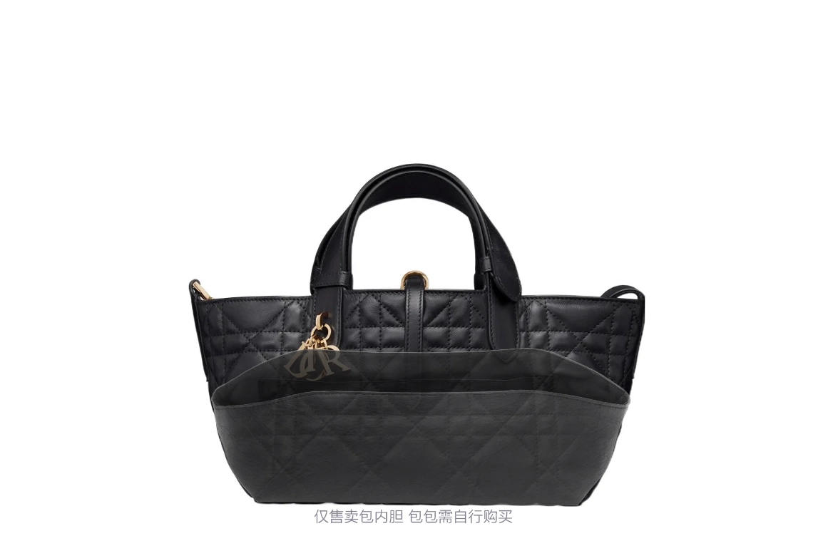 DIOR Toujours