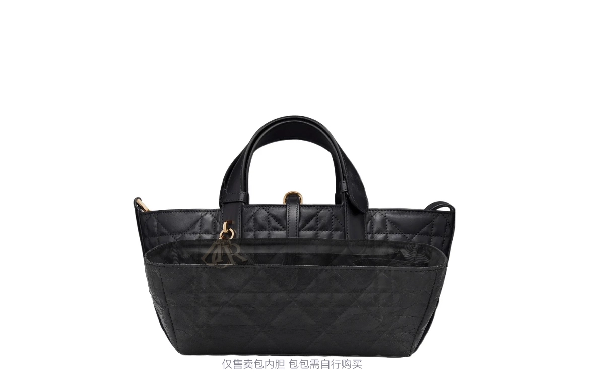 DIOR Toujours