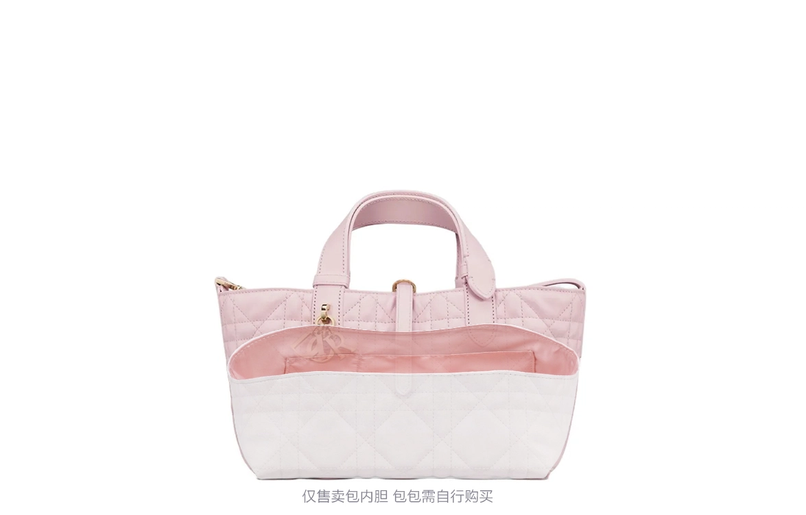 DIOR Toujours