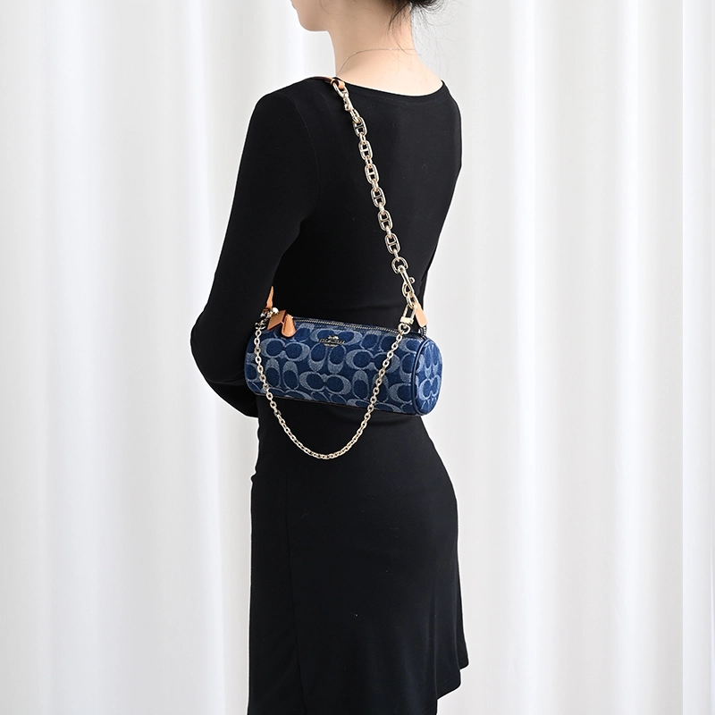 COACH Nolita 20
