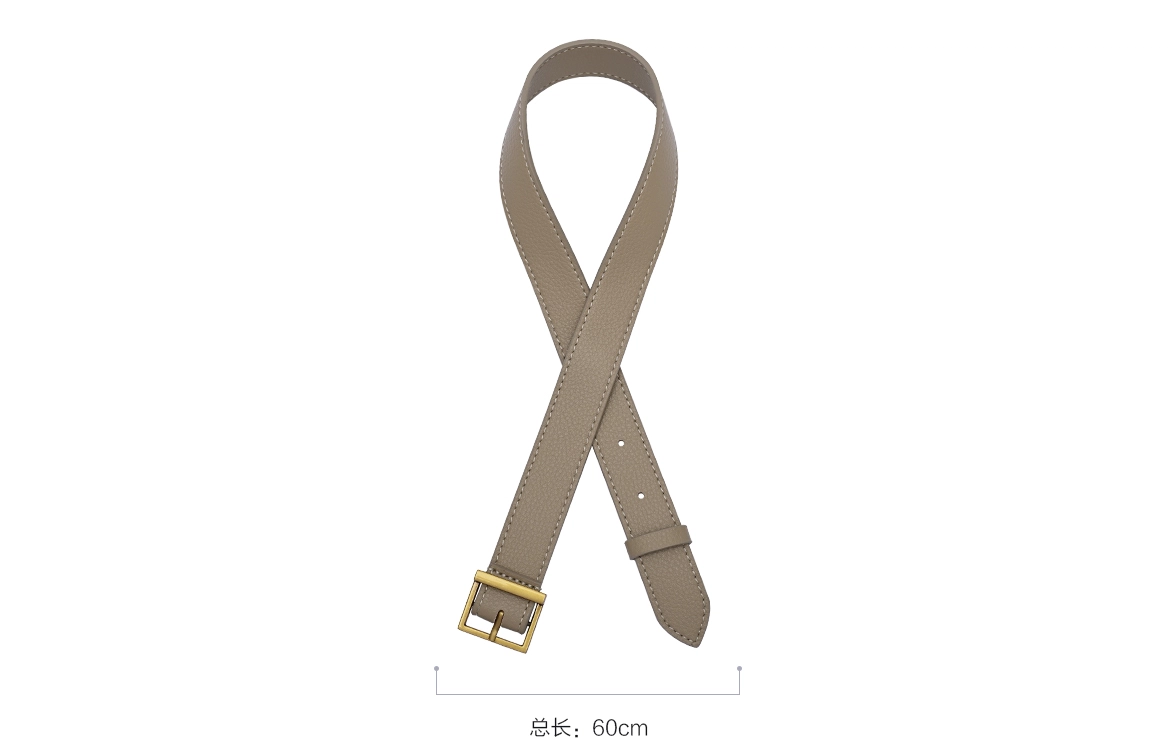 YSL hobo