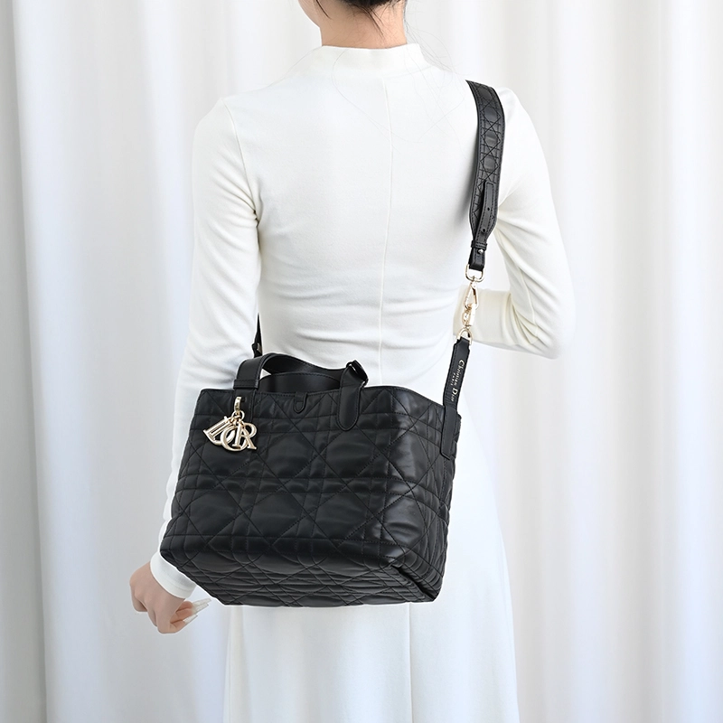 DIOR Toujours