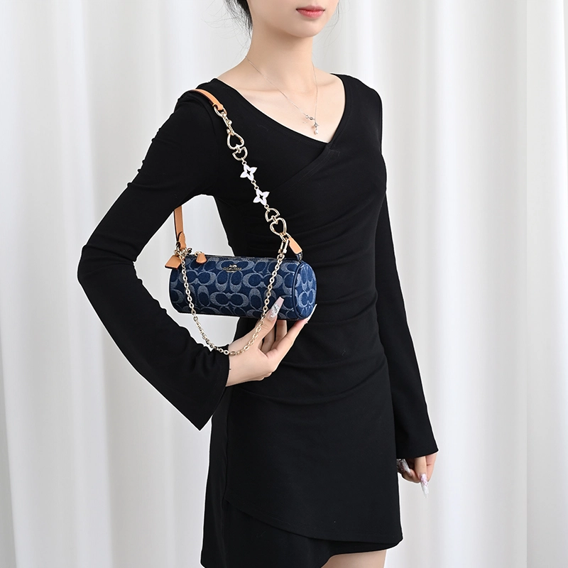 COACH Nolita 20