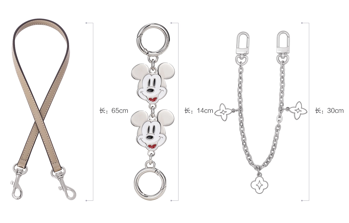 Disney COACH city15 diy