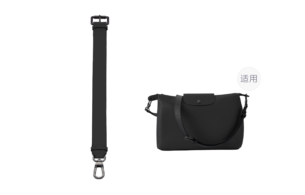 longchamp hobo