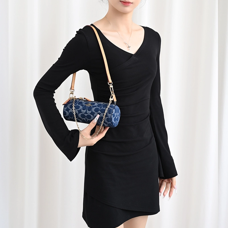 COACH Nolita 20