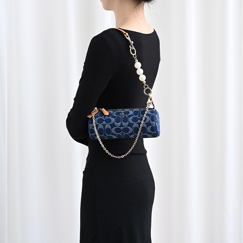 COACH Nolita 20