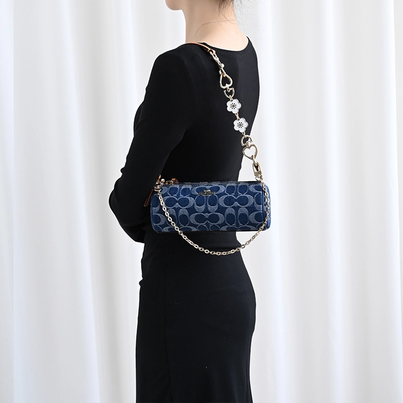 COACH Nolita 20