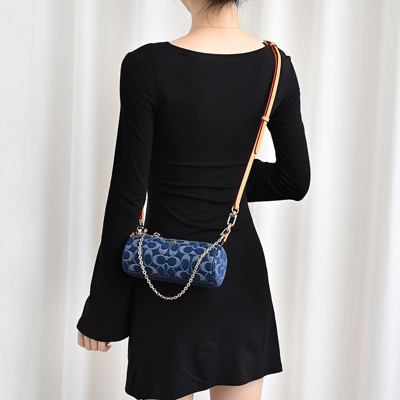 COACH Nolita 20