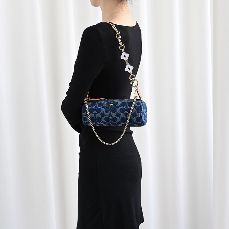 COACH Nolita 20