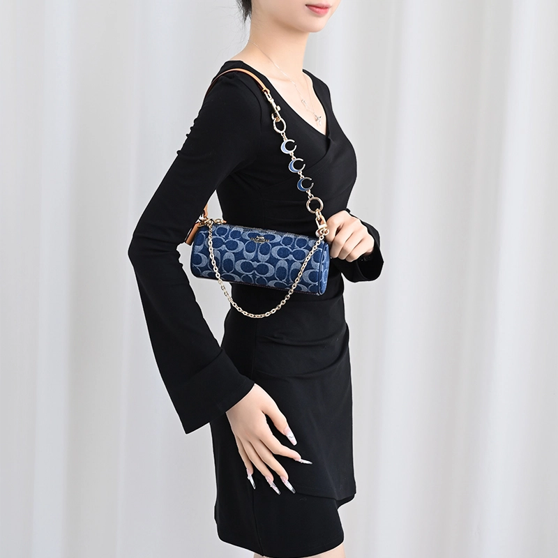 COACH Nolita 20