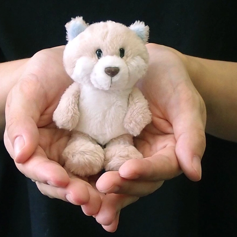 NICI 10cm
