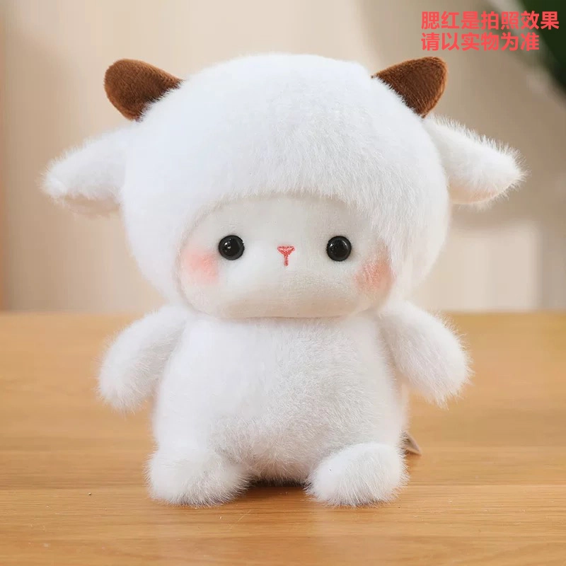 16cm