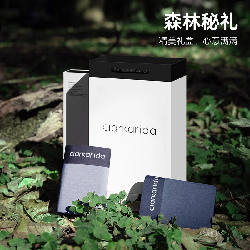 clarkarida 4