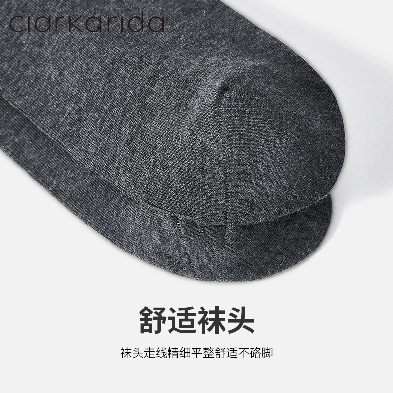 clarkarida