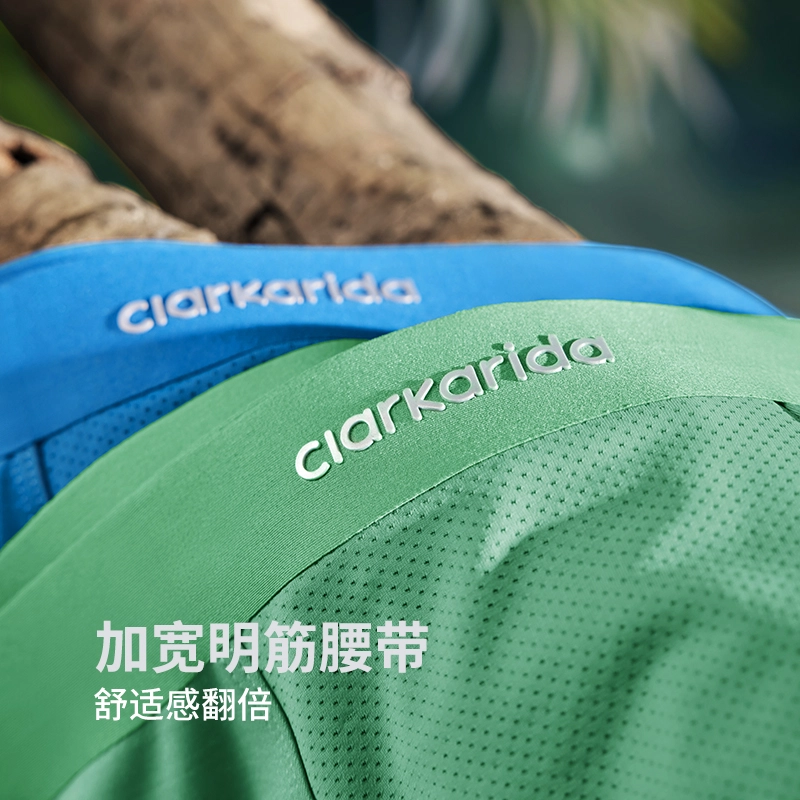 clarkarida 3