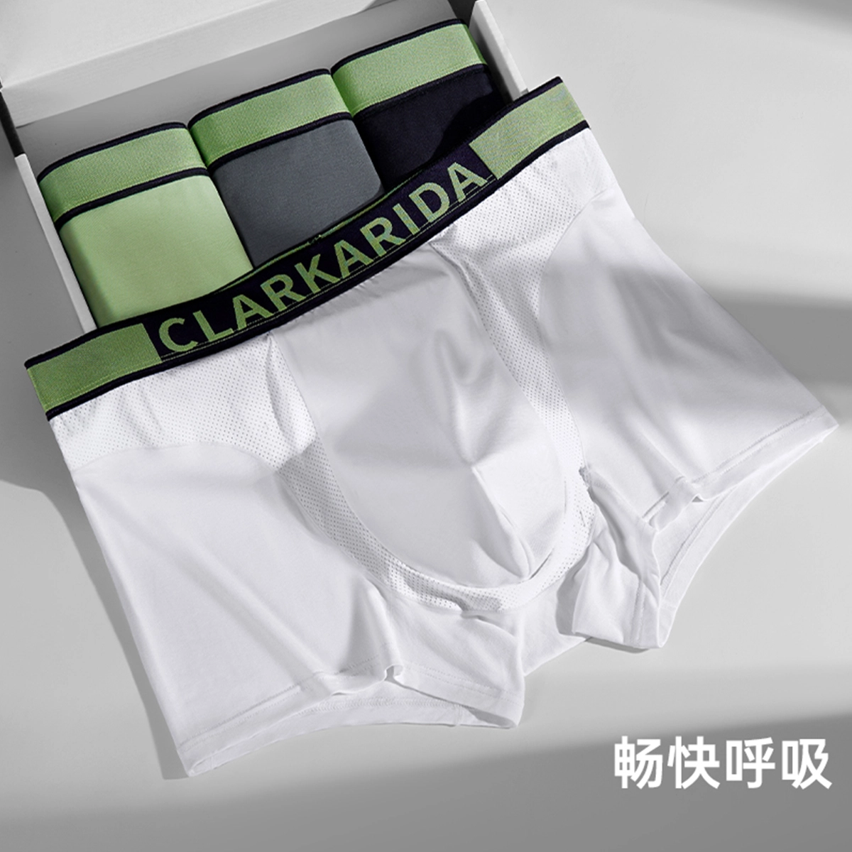 clarkarida 4