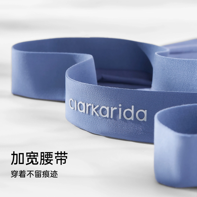 clarkarida 4
