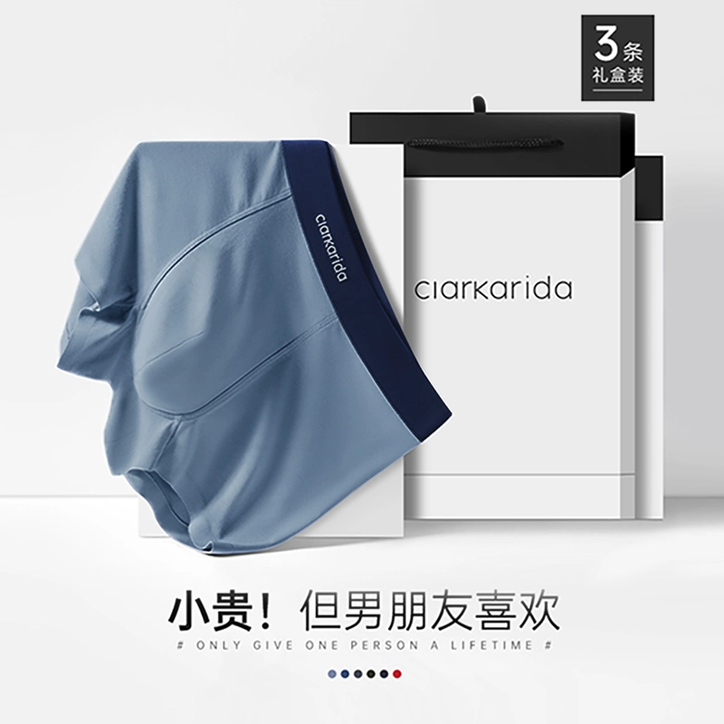 clarkarida 4