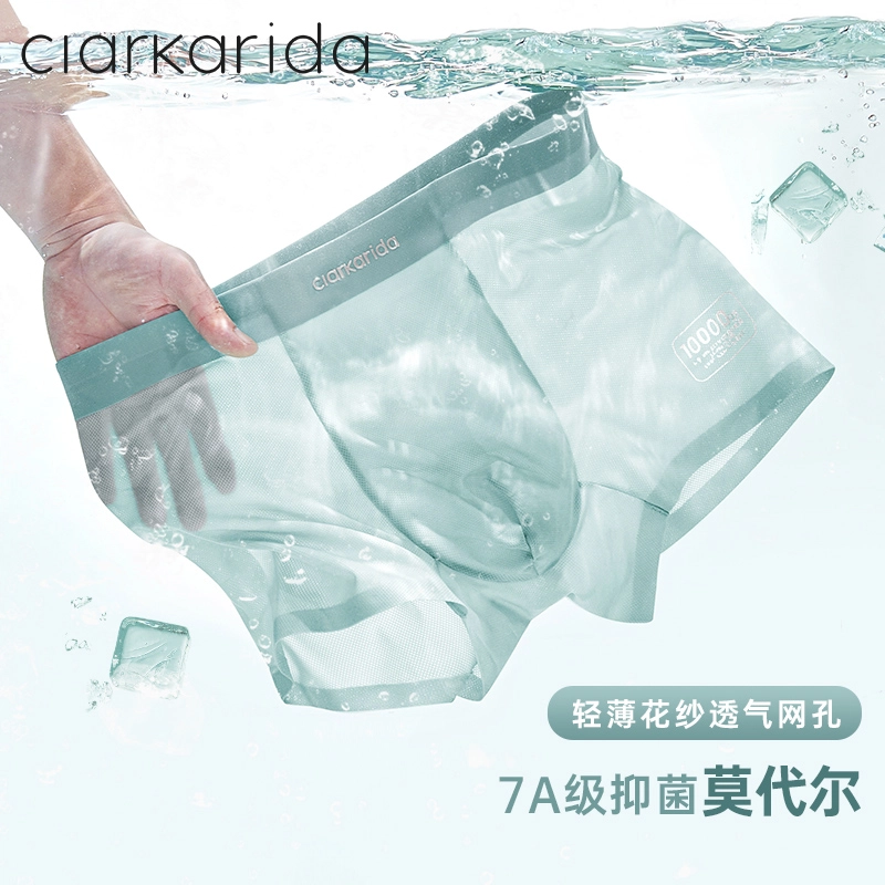 clarkarida 4