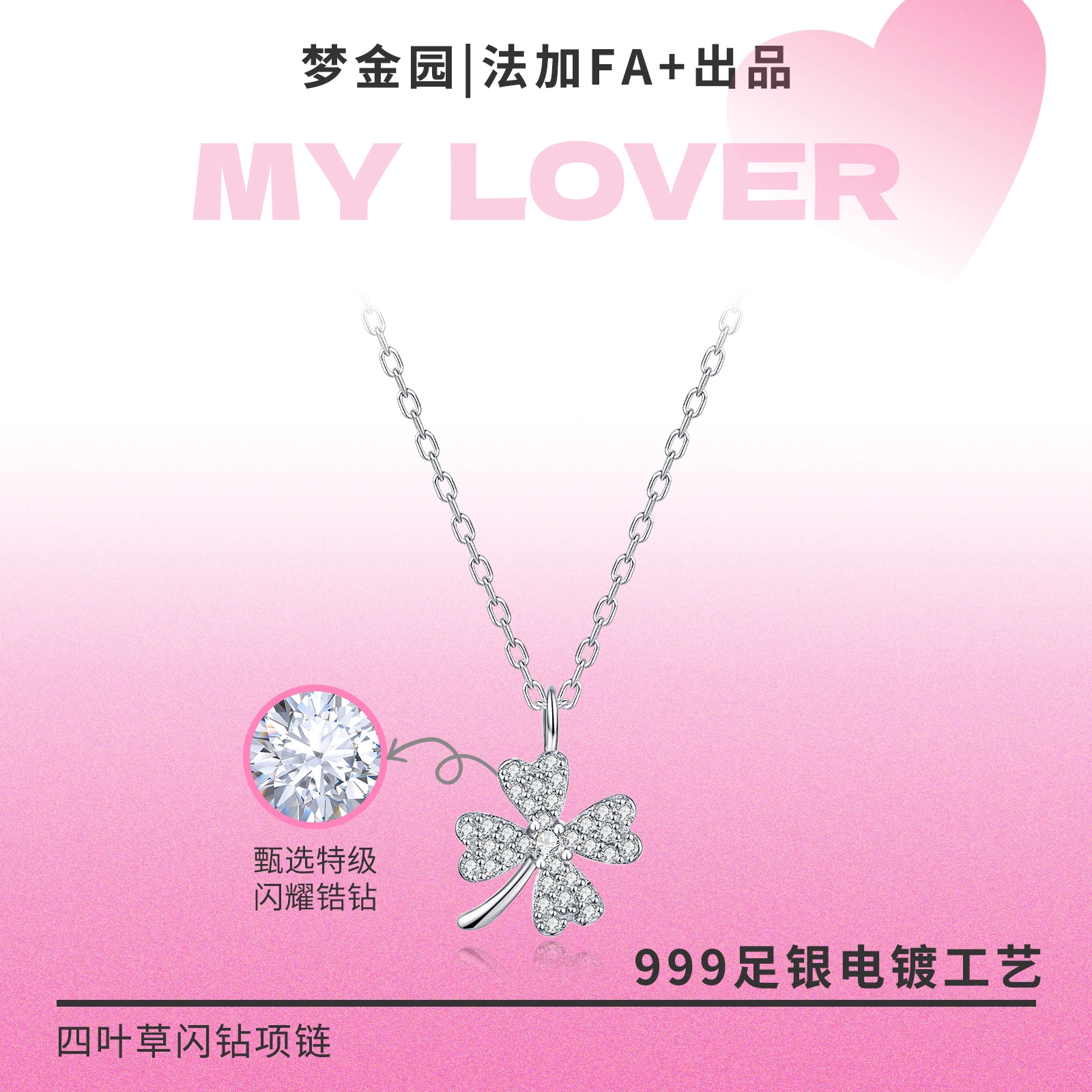 FA+ ins S999