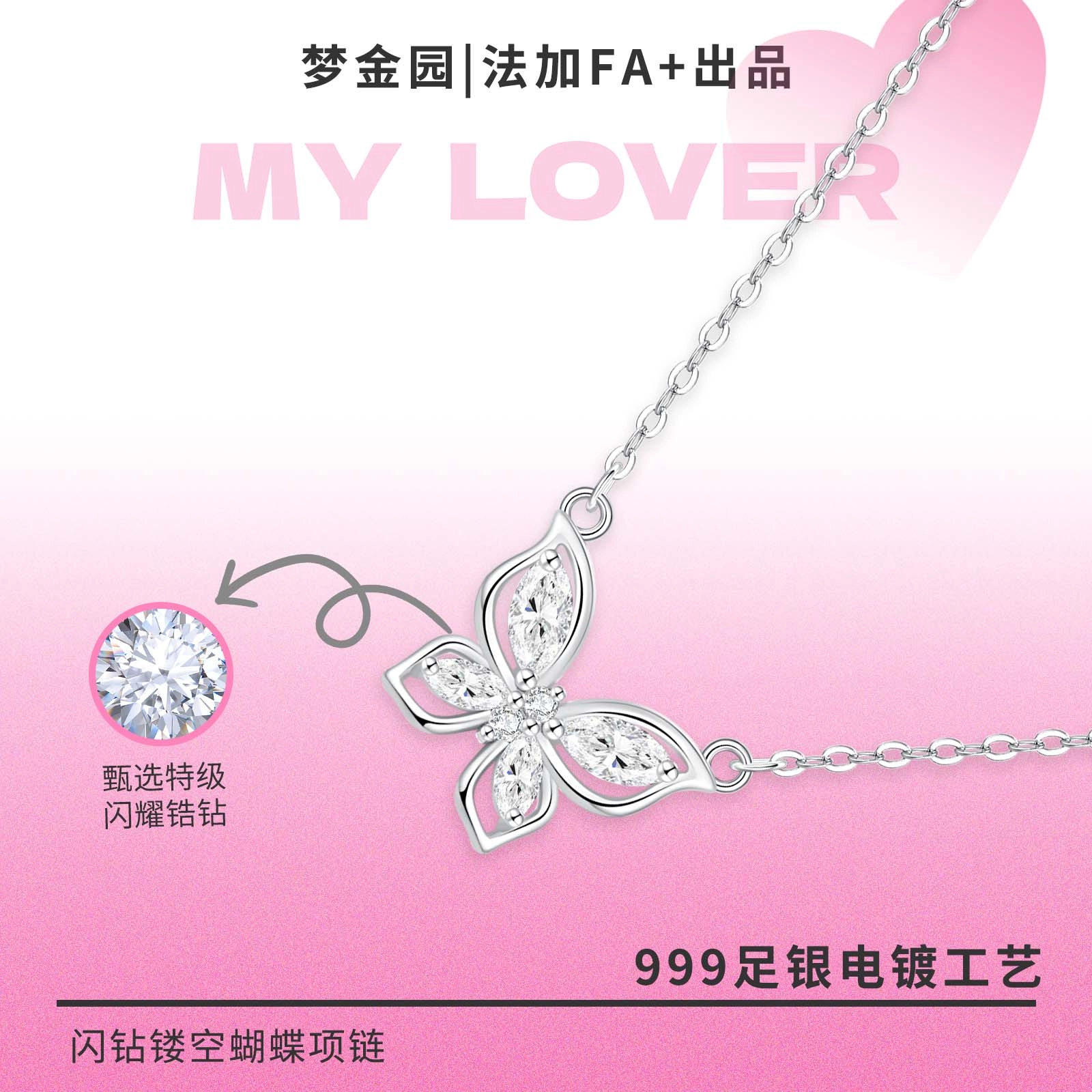 FA+ ins S999