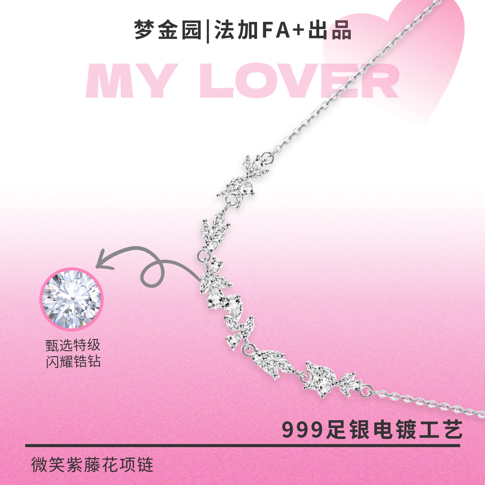 FA+ ins S999