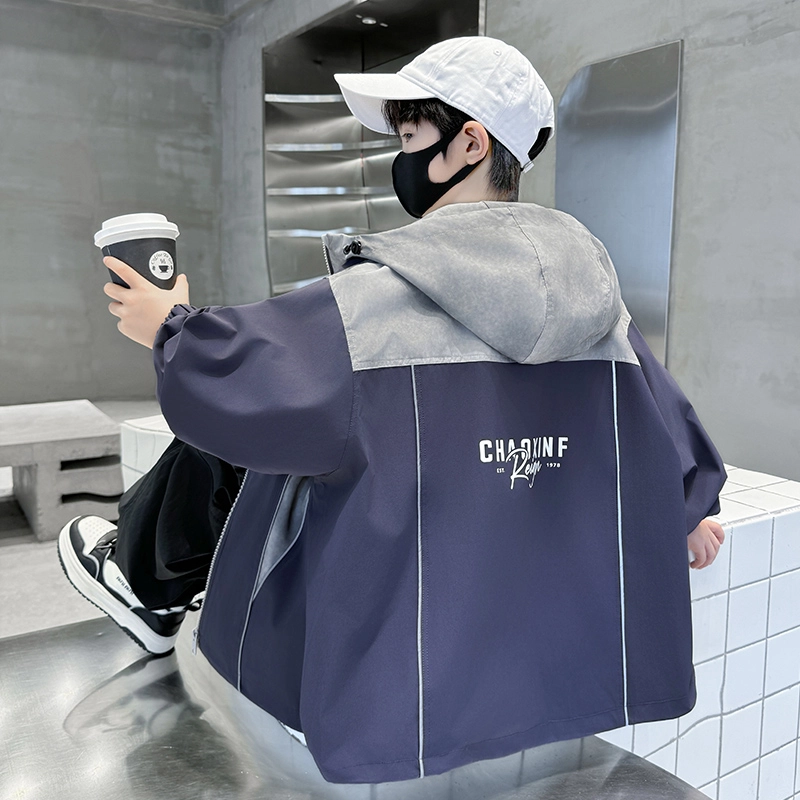 PIERRE CARDIN 2025